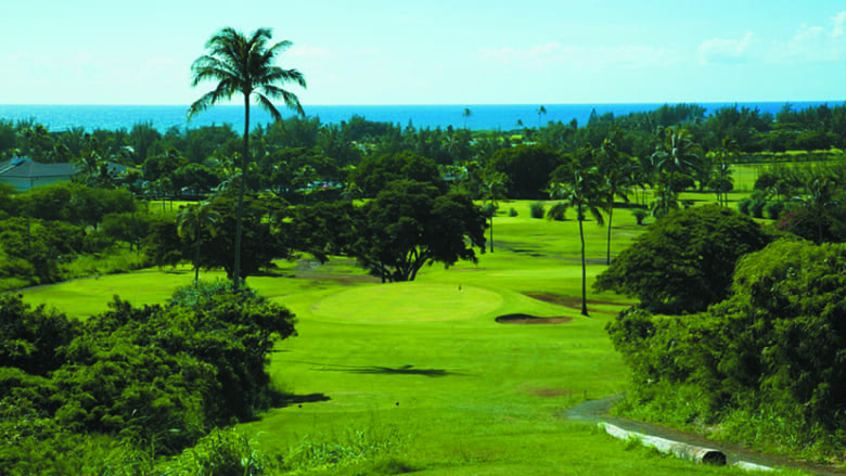 HAWAII KAI GOLF COURSE EXECUTIVE COURSE/ハワイカイ・ゴルフコース・エグゼクティブコース