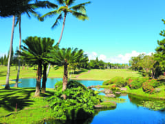 WAIKELE COUNTRY CLUB/ワイケレ・カントリークラブ
