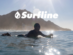 ツインフィン・ワイキキ（旧名アストン・ワイキキ・ビーチ・ホテル）では、2023年に3つの新しいパートナーシップを確立しました。