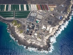 サステイナブルな未来のために、ハワイ島でギンダラの養殖を！コナ・バターフィッシュ・カンパニーが投資家募集中