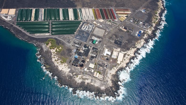 サステイナブルな未来のために、ハワイ島でギンダラの養殖を!コナ・バターフィッシュ・カンパニーが投資家募集中