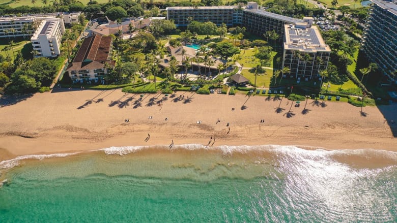 マウイ島カアナパリビーチホテル、期間限定で15%オフとなる春のお得なキャンペーン開催中