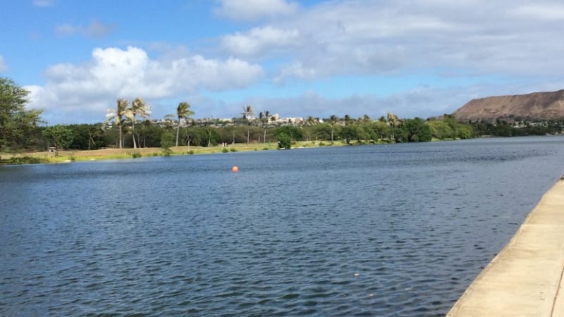 Genki Ballで、きれいになーれ!アラワイ運河の浄化プロジェクト