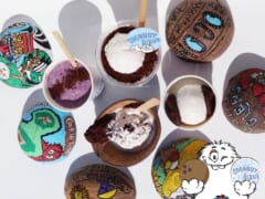 ハワイ・マウイ島生まれのヴィーガンアイス「ココナッツグレン」とクッキーメーカー「クッキータイム」が初コラボ！