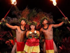 大注目！ハワイの「シーライフパーク」でスタートしたルアウショー「アロハ・カイ・ルアウ」