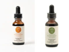 HAWAIIAN RAINFOREST NATURALS  /ハワイアン・レインフォレスト・ナチュラルズ