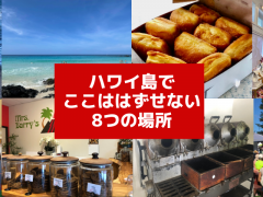ハワイ島に行ったら、キラウエア・マウナケアだけじゃない！ここには行ってほしい8つの場所！