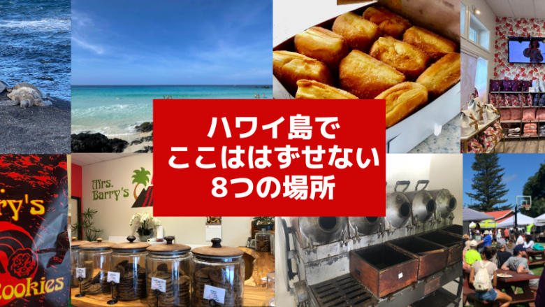 ハワイ島に行ったら、キラウエア・マウナケアだけじゃない!ここには行ってほしい8つの場所!