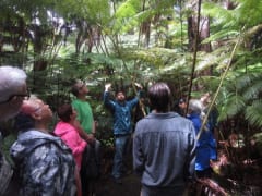 フォレスト・フェア