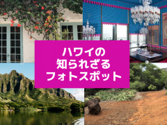 ハワイの知られざるフォトスポット（オアフ島）