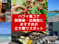 ハワイ島コナ直行便で、ハワイ島コナ到着後・出発前におすすめの立ち寄りスポット