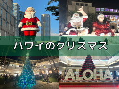 ハワイのクリスマス in 2023