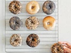 Tali's Bagels & Schmear /タリーズ・ベーグル＆シュミィア
