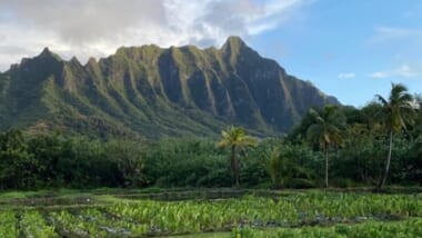OUTRIGGER Resorts & Hotels Malama Hawaii Experience /マラマアウトリガー・ハワイ・・リゾーツ＆ホテルズエクスペリエンス