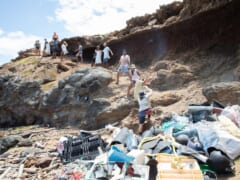 Sustainable Coastlines Hawai'i  /サステナブル・コーストラインズ・ハワイ