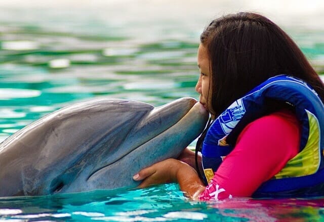 Sea Life Park Hawaii /シーライフパーク・ハワイ