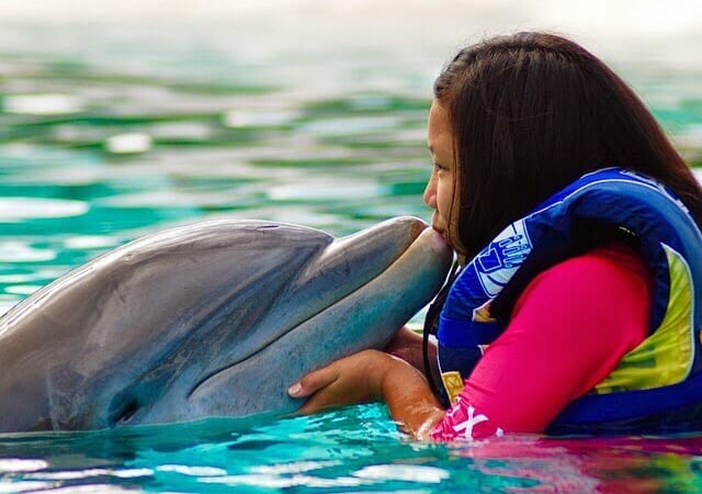 Sea Life Park Hawaii /シーライフパーク・ハワイ