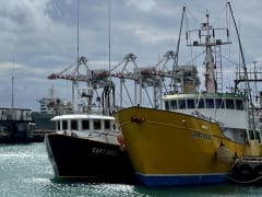次々と釣り上げる一本釣りも！ハワイの漁業を大きく躍進させたのは誰？