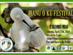 マヌオク・フェスティバル