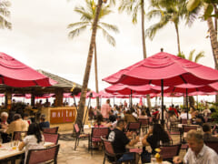 ワイキキ周辺のおしゃれにお酒が楽しめるお店4選