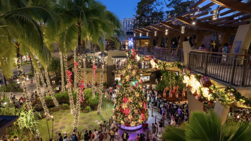 12月開催！ハワイならではのクリスマスイベント🎄