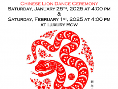 チャイニーズ・ライオンダンス・セレモニー・アット・ラグジュアリーロウ