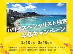 「ハワイスペシャリスト検定」検定料半額キャンペーンを実施