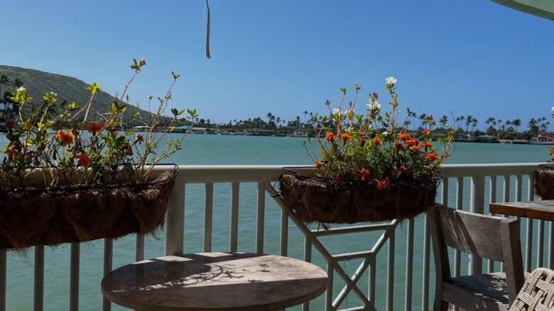 ワード&カカアコエリアに出かけたら絶対に立ち寄りたいお店