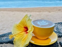 上質な自家焙煎のコーヒーが楽しめるカフェ3選