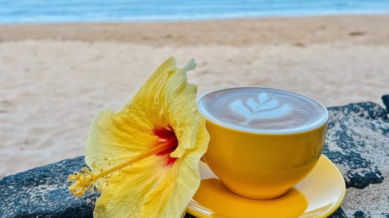 上質な自家焙煎のコーヒーが楽しめるカフェ3選