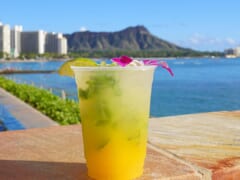 厳選！ハワイならではのカクテルが楽しめる人気店
