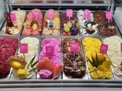 ロコも大好き！おいしいソルベが味わえるお店3選